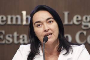 Dep. Dr. Silvana ( PMDB)