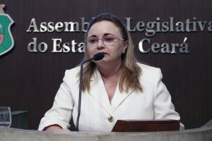 Dep. Eliane Novais (PSB)