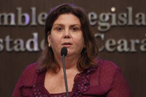 Dep.Fernanda Pessoa(PR)