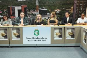 Audiência pública em alusão ao Dia Nacional da Defensoria Pública