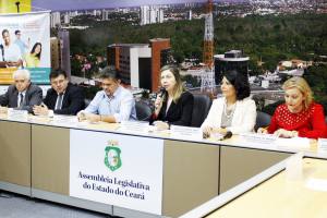 Audiência pública lança 39ª edição da InfoBrasil TI & Telecom