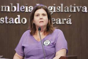 Dep. Fernanda Pessoa ( PR )