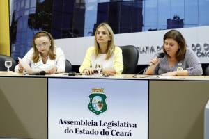 Comissão da Infância e Adolescência