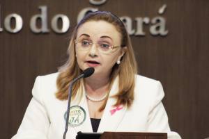 Deputada Eliane Novais (PSB)