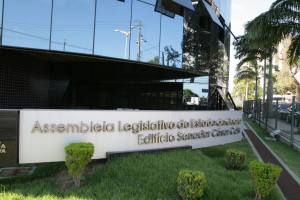 Frente Parlamentar dos Direitos da Mulher planeja ações para 2014