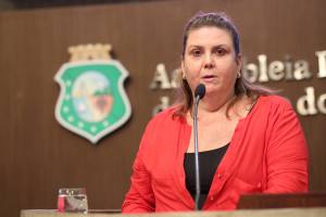 Dep. Fernanda Pessoa ( PR )