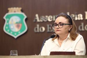 Dep. Eliane Novais ( PSB )