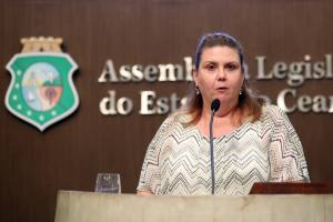 Dep. Fernanda Pessoa (PR)