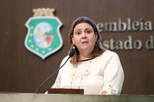 Dep. Fernanda Pessoa (PR)
