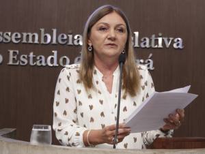 Dep. Inês Arruda (PMDB)