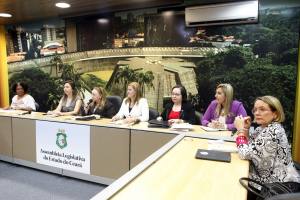 Versão cearense de “lei antibaixaria” é proposta em audiência na AL