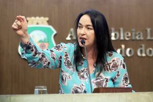 Dep. Dra Silvana (PMDB)