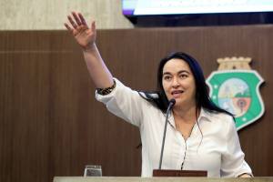 Dep. Dra. Silvana ( PMDB )