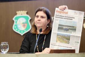 Dep. Fernanda Pessoa ( PR )