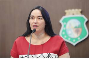 Dep. Dra. Silvana ( PMDB )
