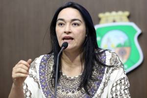 Dep. Dra Silvana (PMDB)