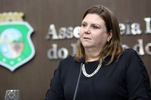 Dep. Fernanda Pessoa (PR)