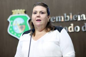 Dep. Fernanda Pessoa (PR)