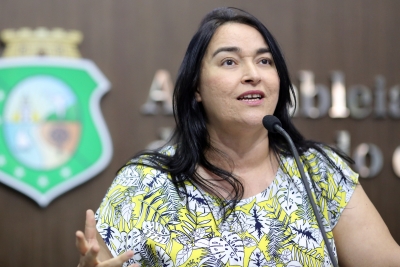 Dep. Dra. Silvana ( PMDB )