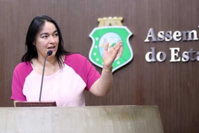 Dep. Dra. Silvana ( PMDB )
