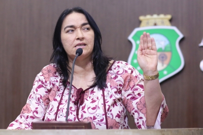 Dep. Dra. Silvana ( PMDB )