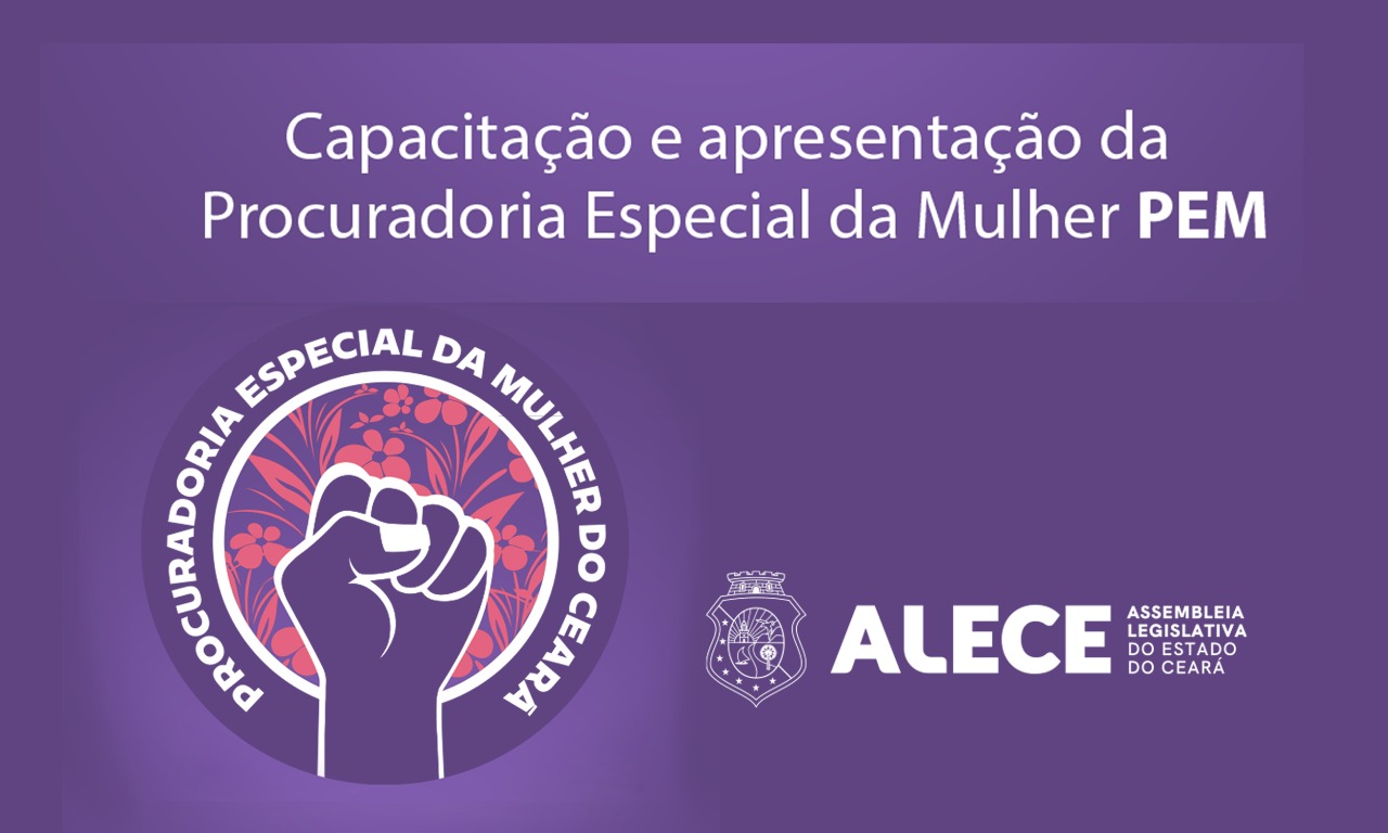 Coordenadora da Procuradoria Especial da Mulher, a advogada Raquel Andrade