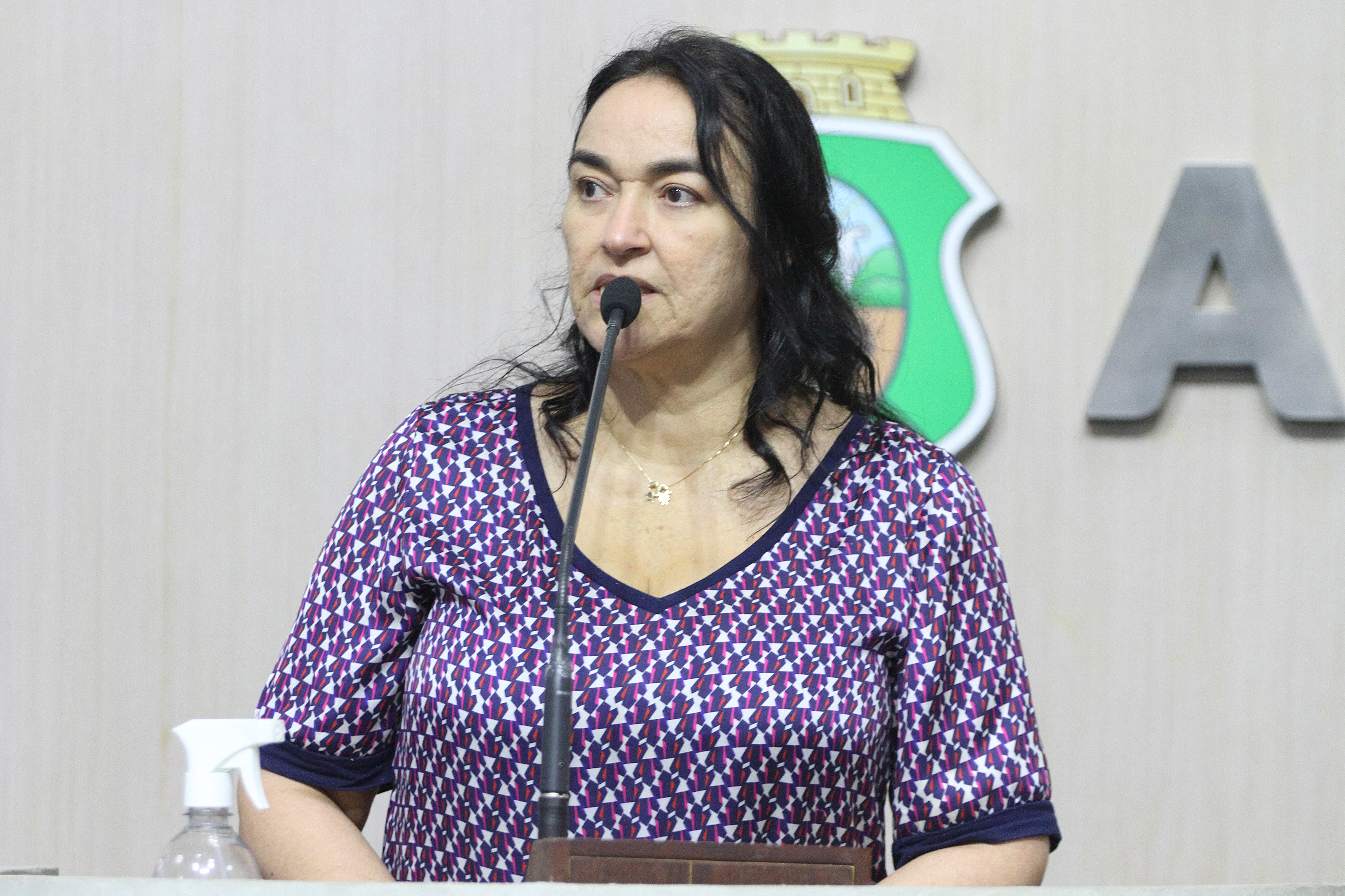 Dra. Silvana cobra ampliação do atendimento em hospitais regionais