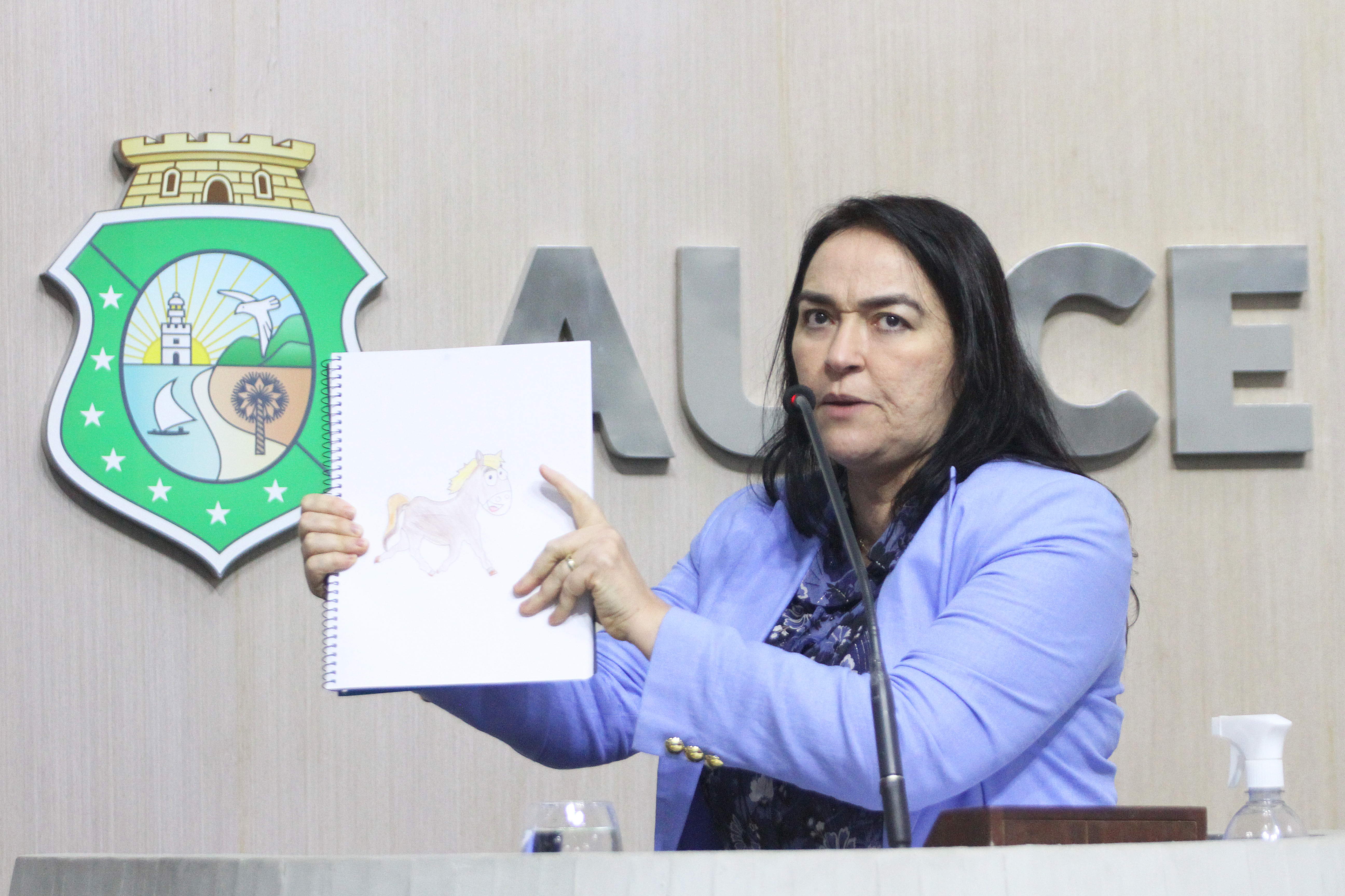 Deputada Dra. Silvana (PL)