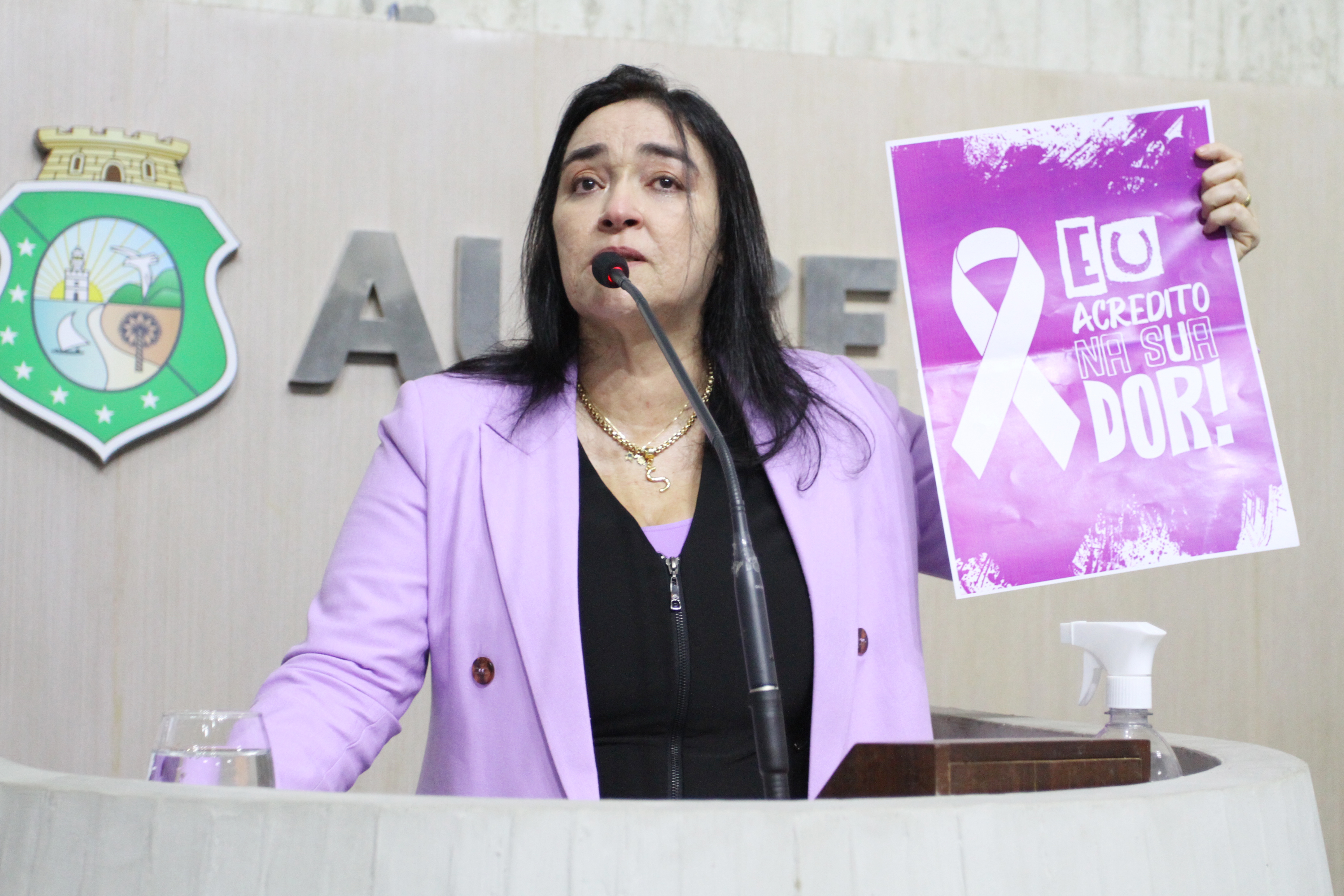 Deputada Dra. Silvana (PL)