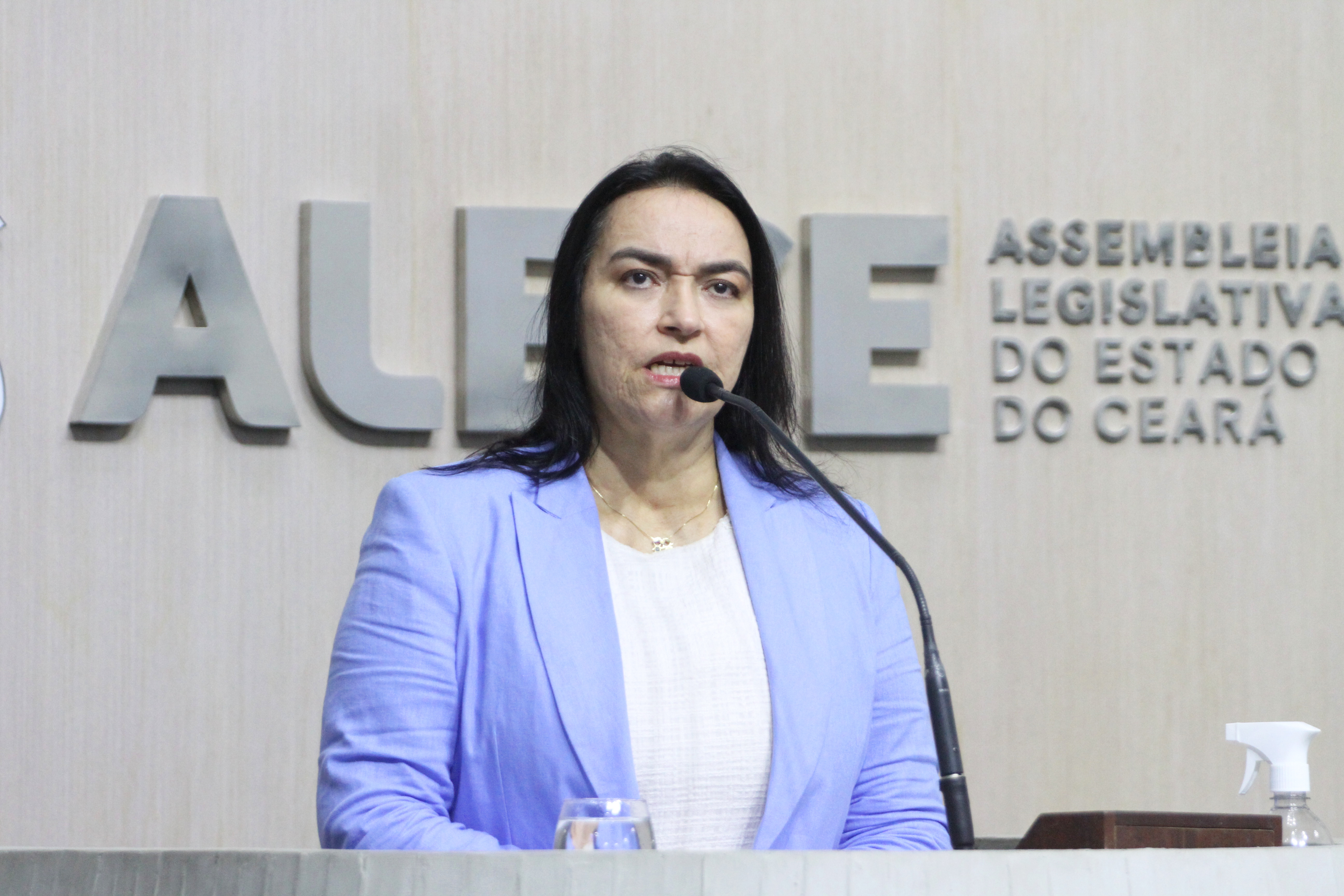 Deputada Dra. Silvana (PL)