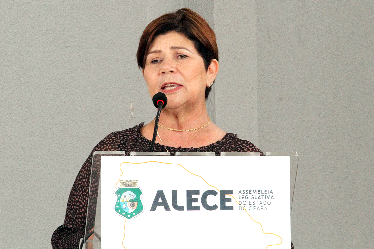 Deputada Jô Farias (PT)