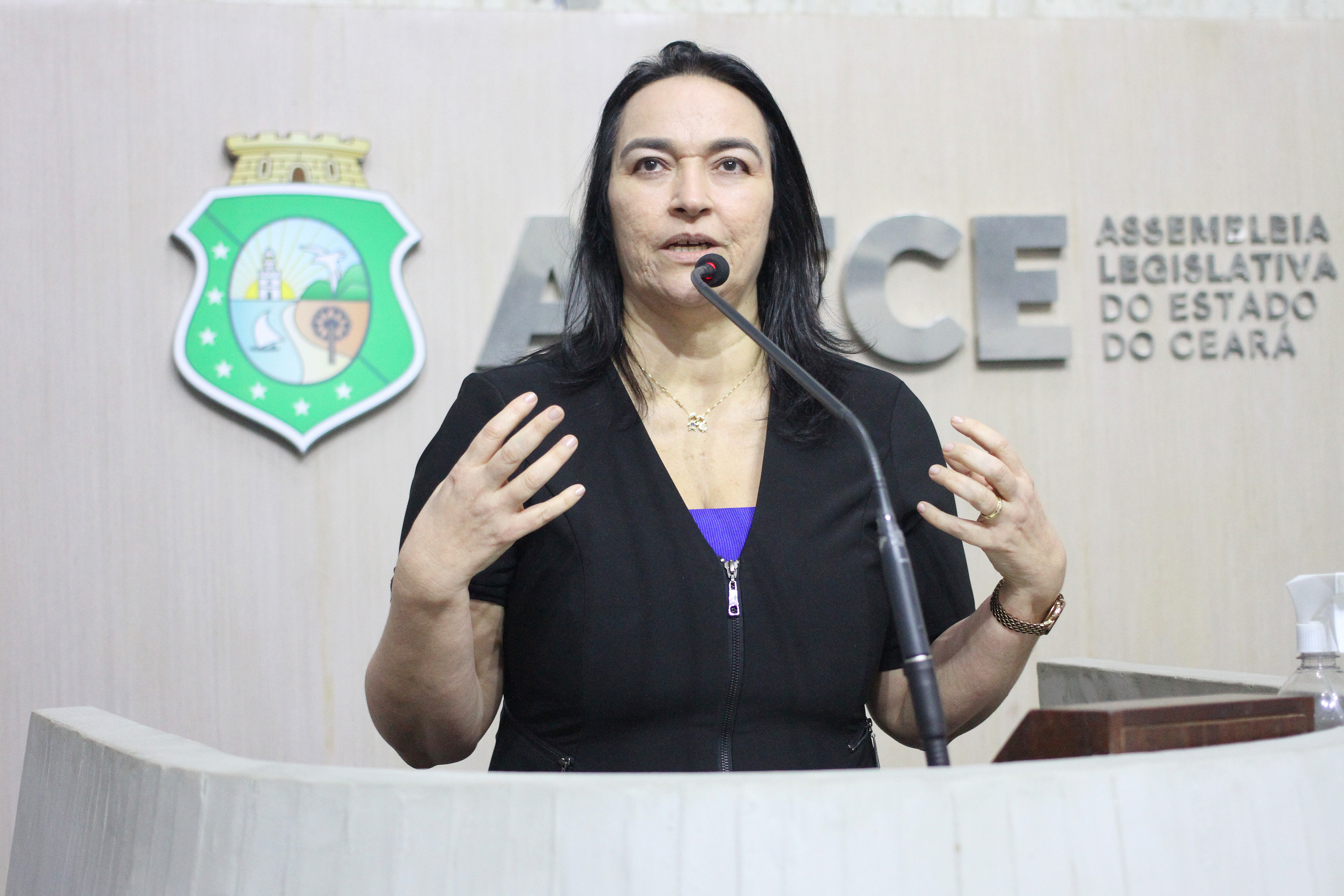 Dep. Dra. Silvana ( PL )