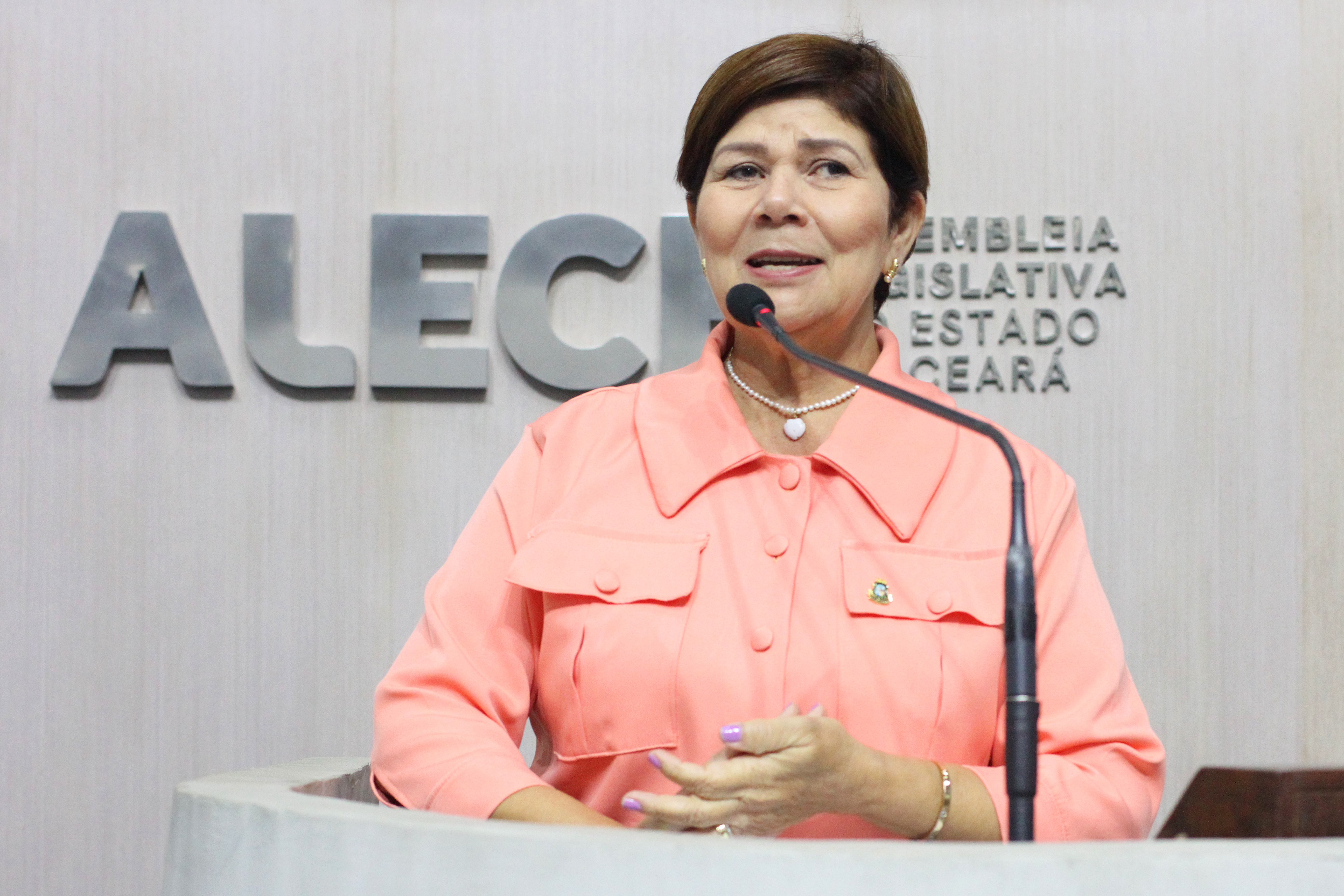 Jô Farias ressalta projeto que cria hub de empreendedorismo feminino
