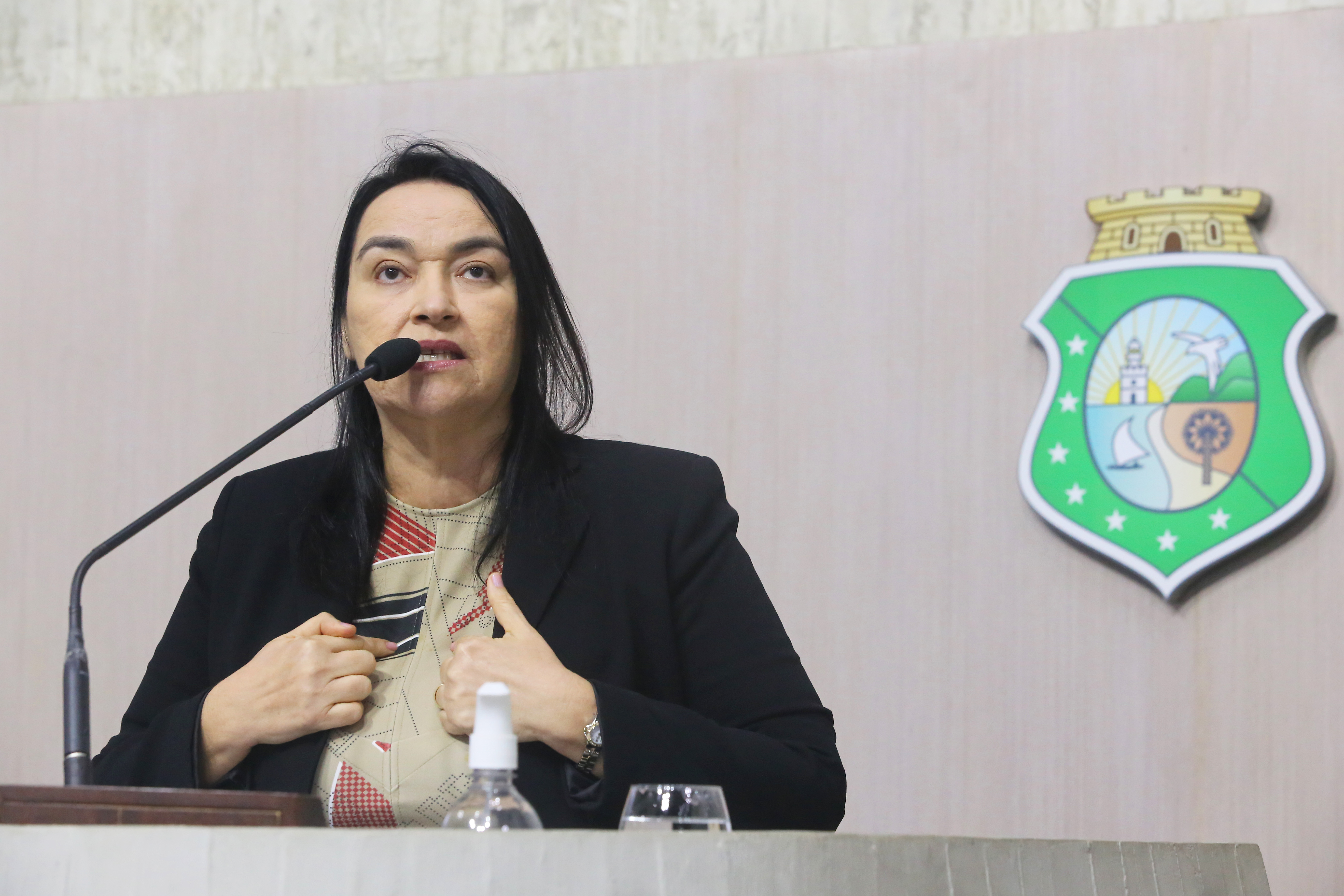 Deputada Dra. Silvana (PL)