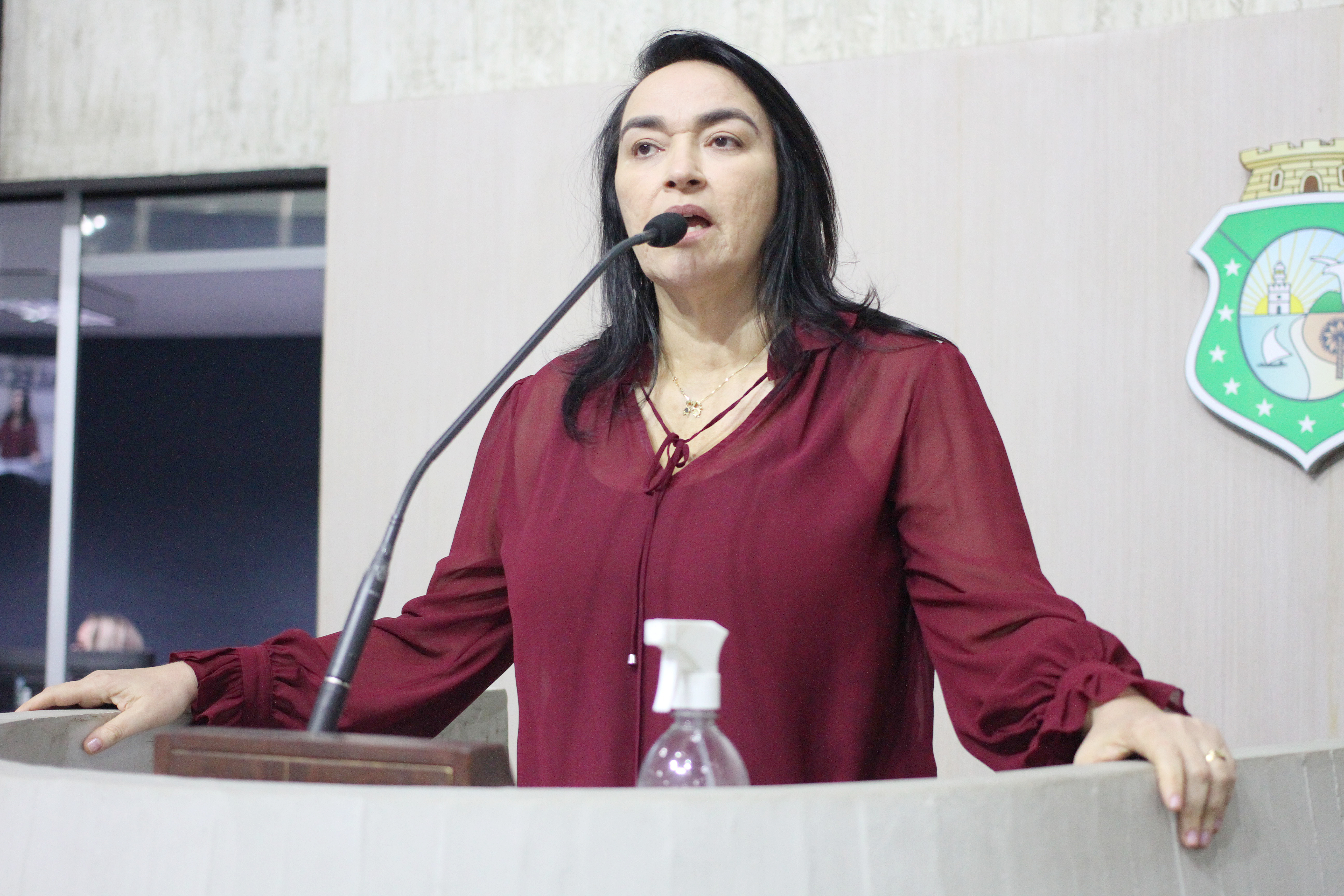 Deputada Dra. Silvana (PL)