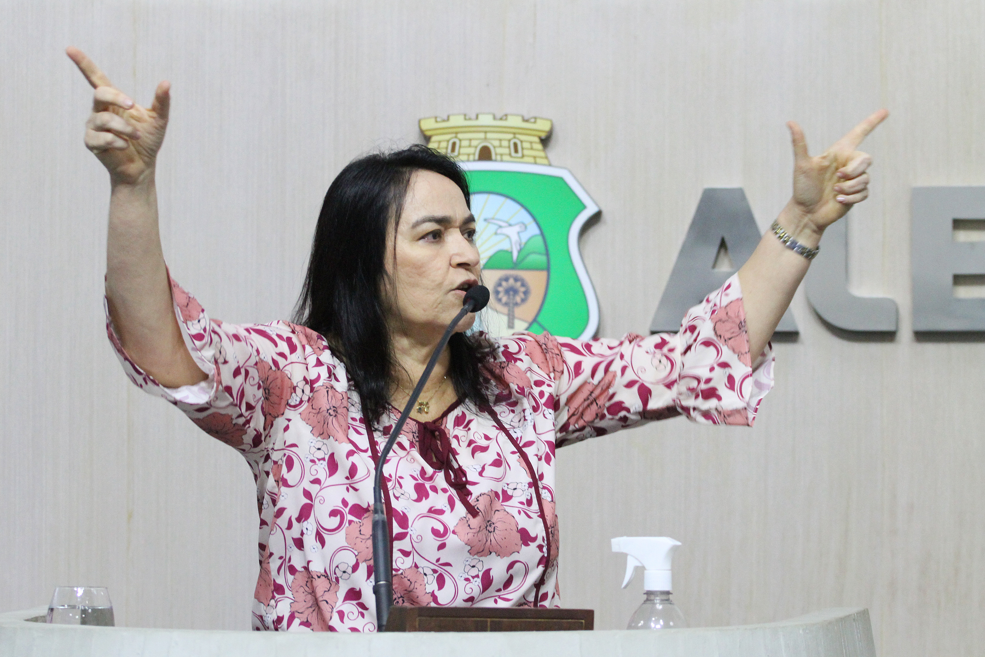 Deputada Dra. Silvana (PL)