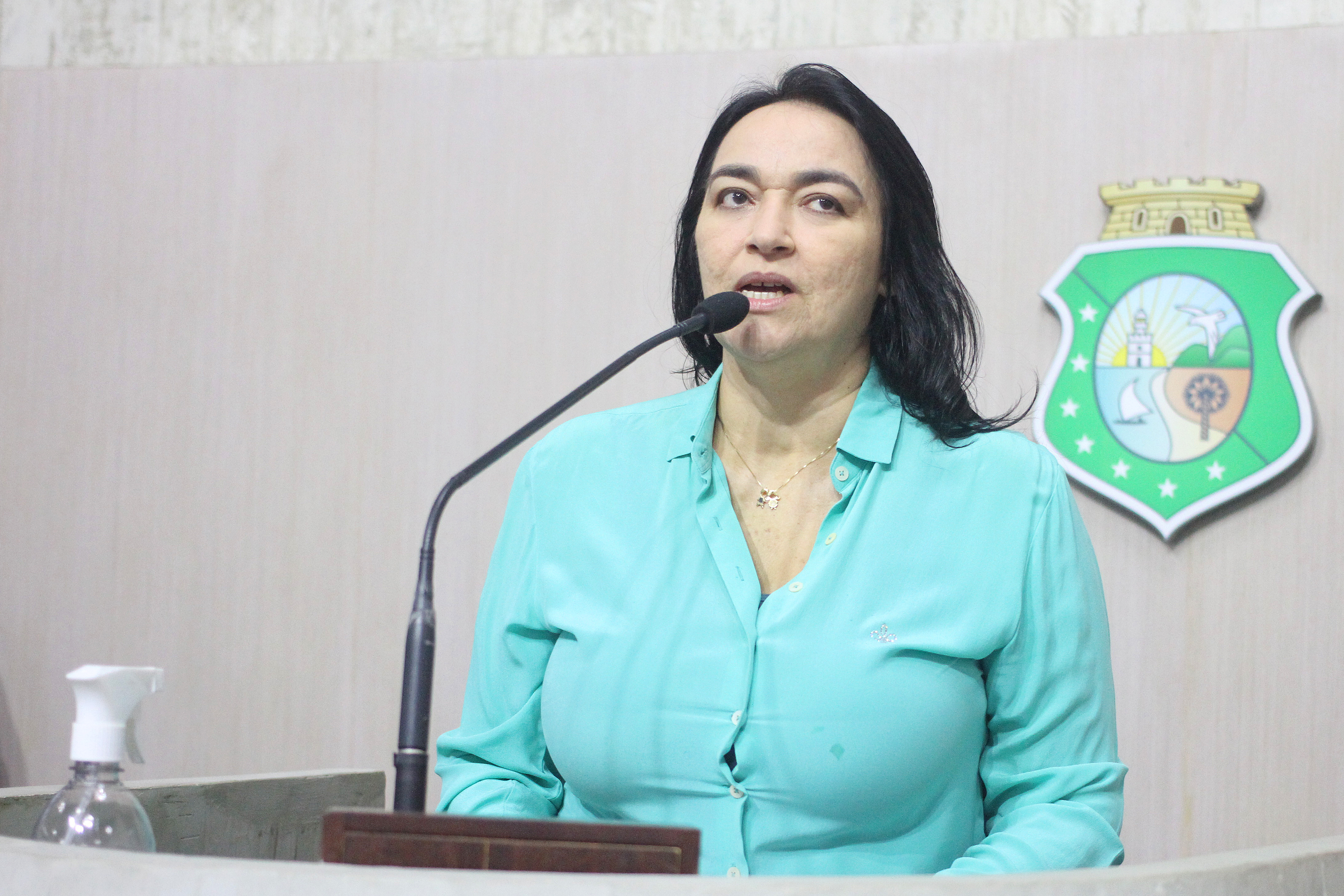 Deputada Dra. Silvana (PL)