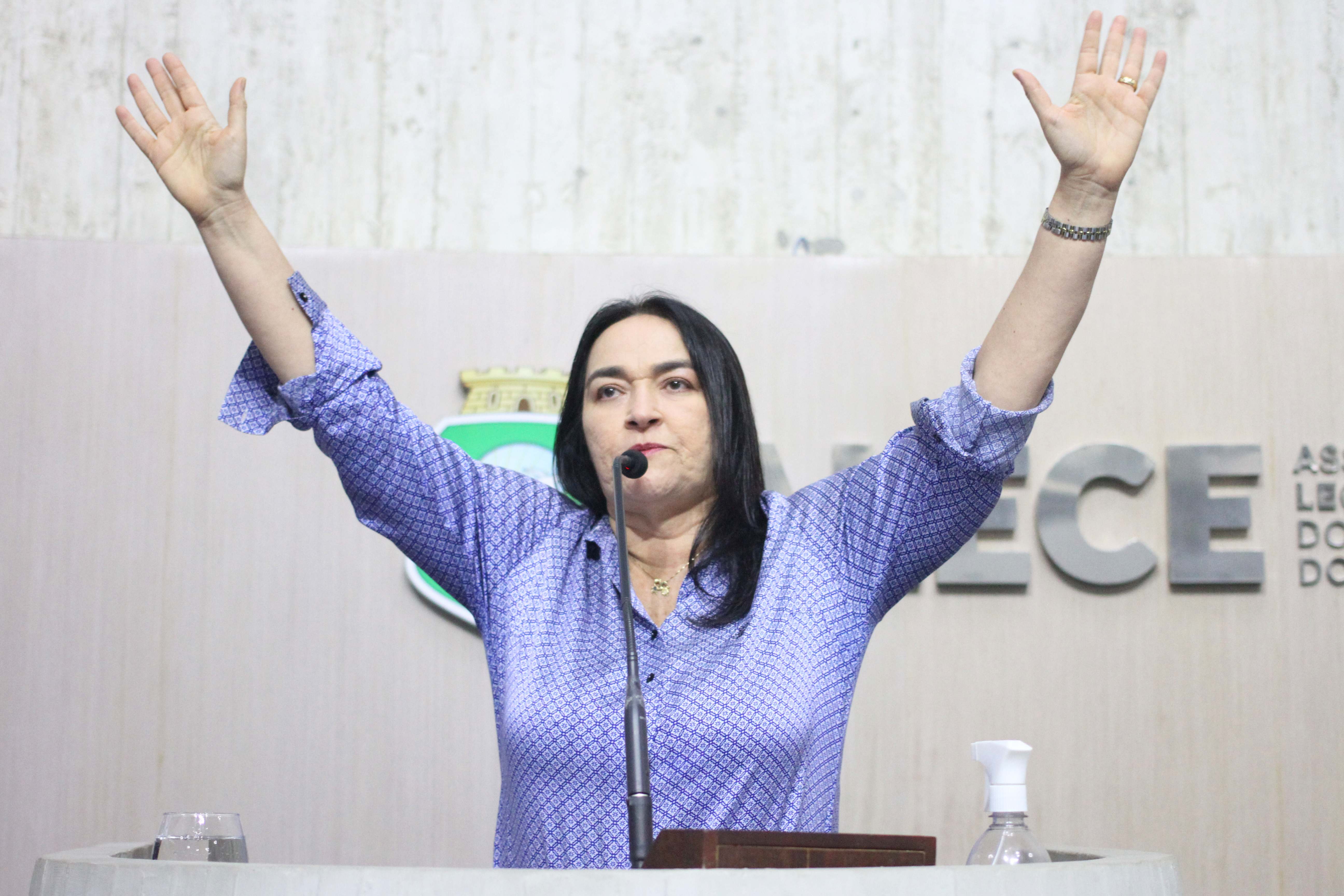 Deputada Dra. Silvana (PL)