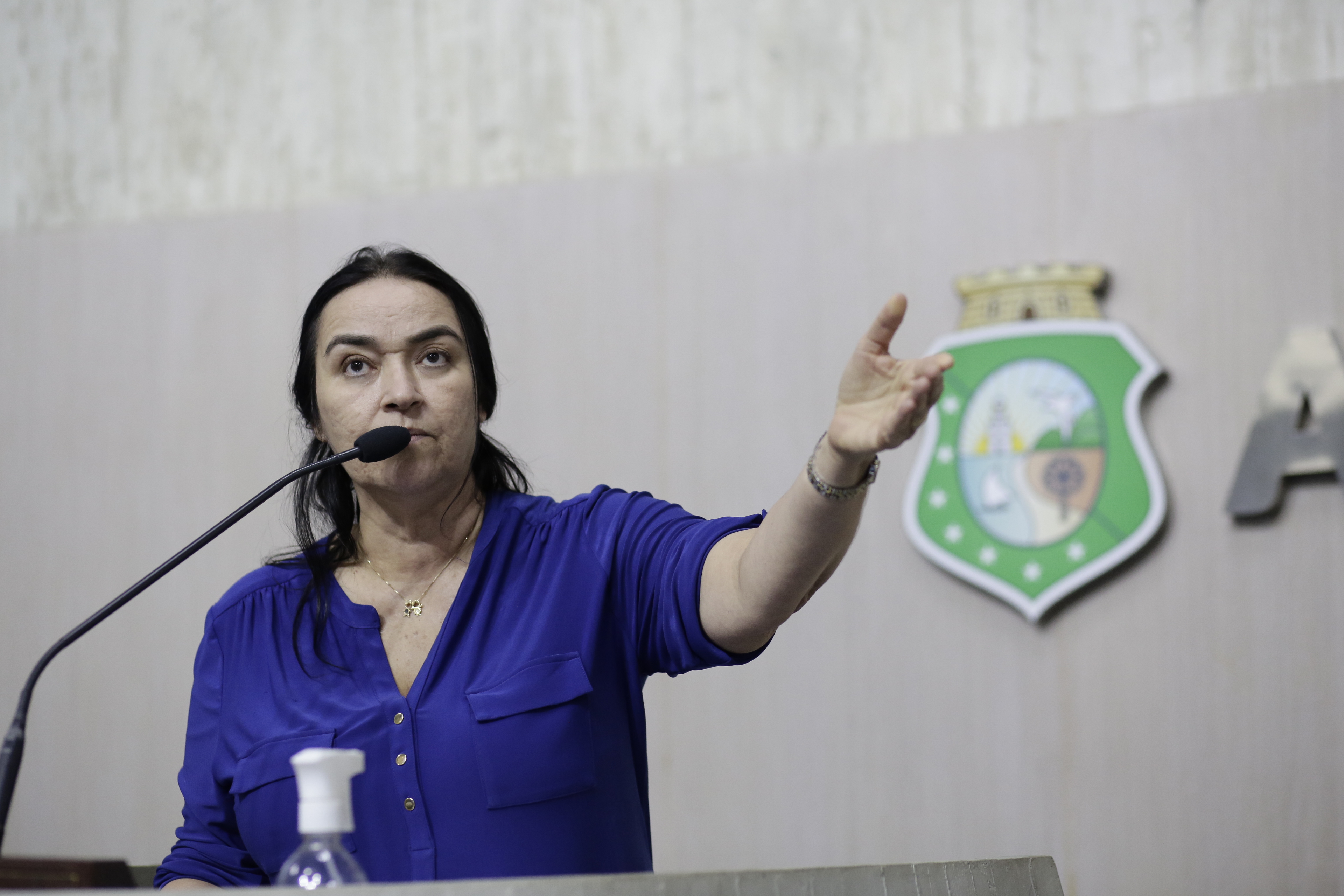 Dra. Silvana critica retirada do Mausoléu Castelo Branco da sede do Governo do CE