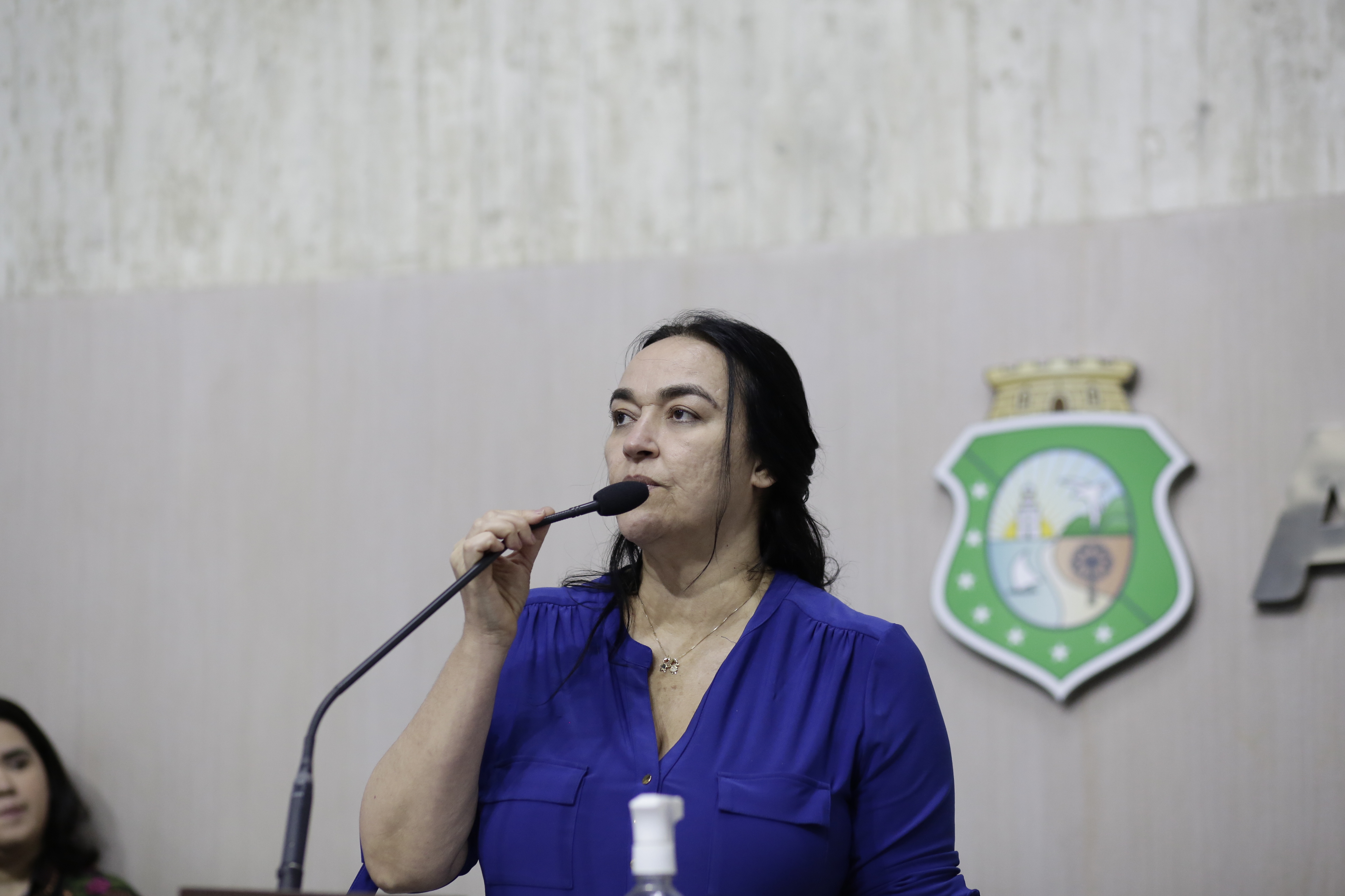 Dra. Silvana critica retirada de mausoléu do ex-presidente Castelo Branco