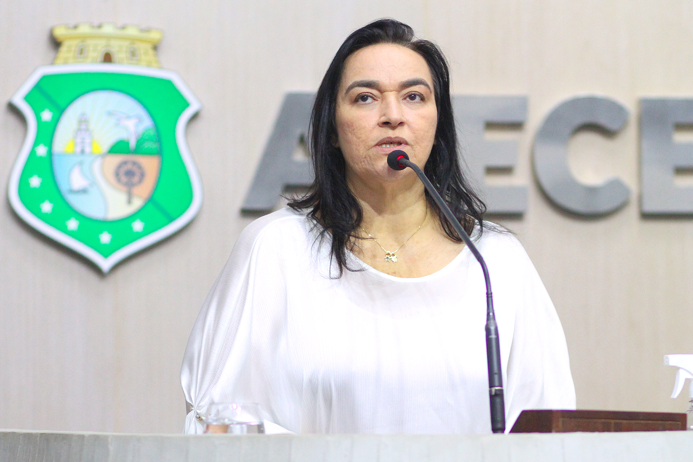 Deputada Dra. Silvana (PL)