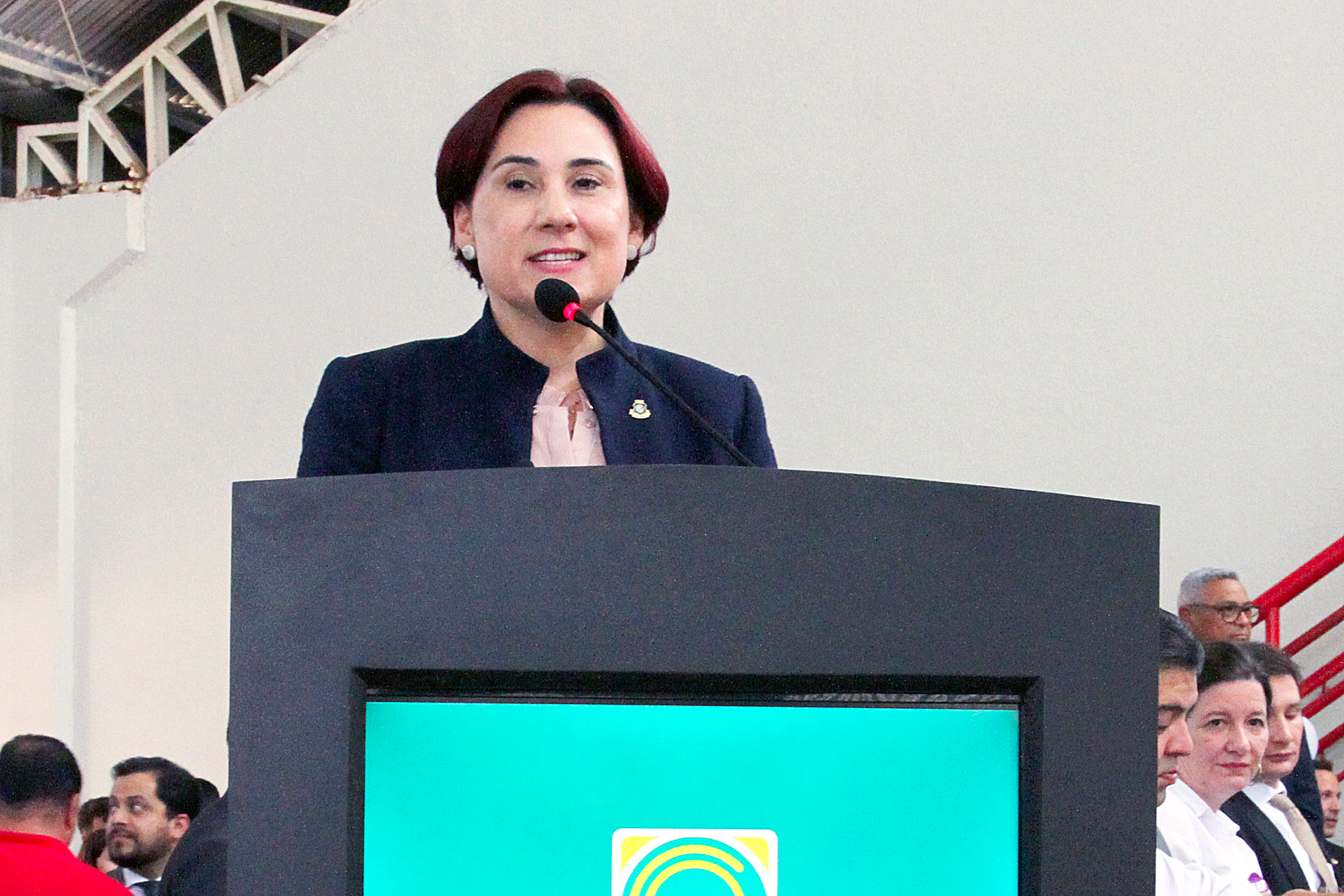 Deputada Emília Pessoa (PSDB)