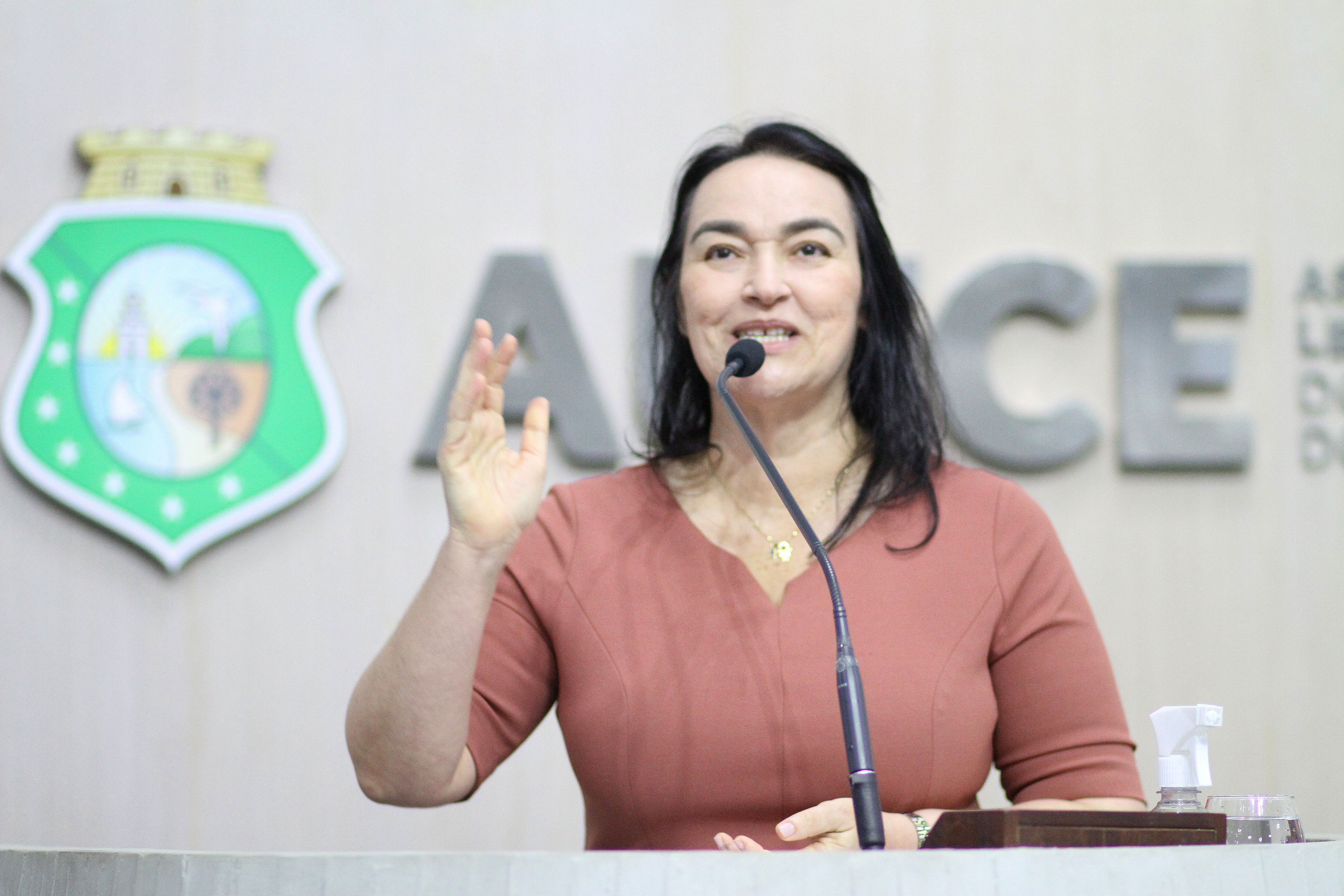 Deputada Dra. Silvana (PL)