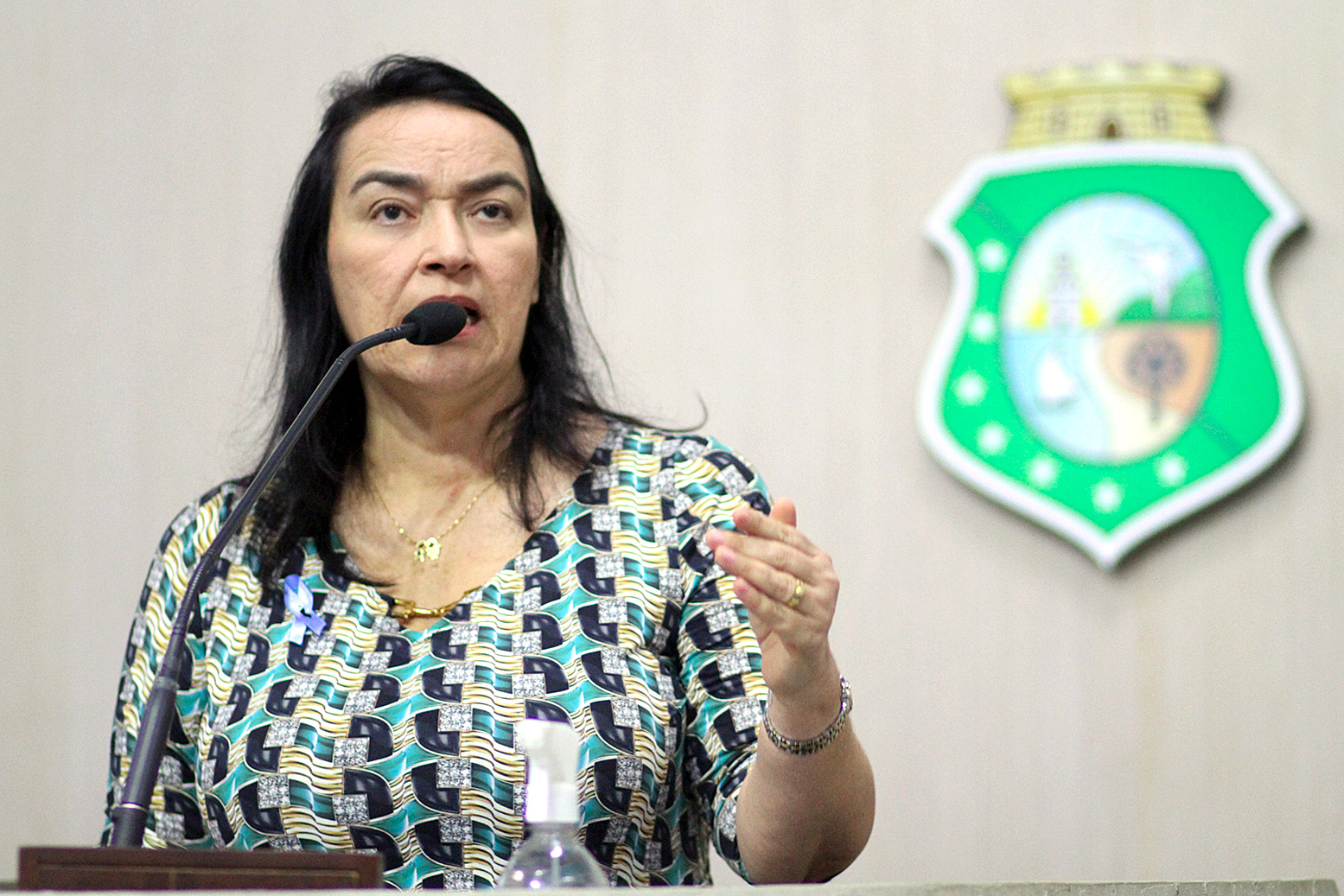 Deputada Dra. Silvana (PL)