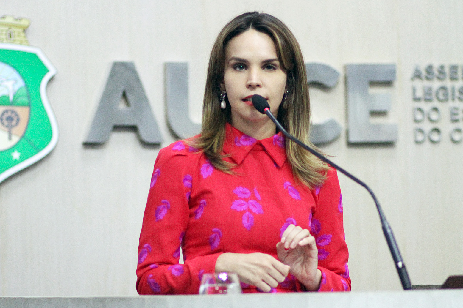Deputada Gabriella Aguiar (PSD)