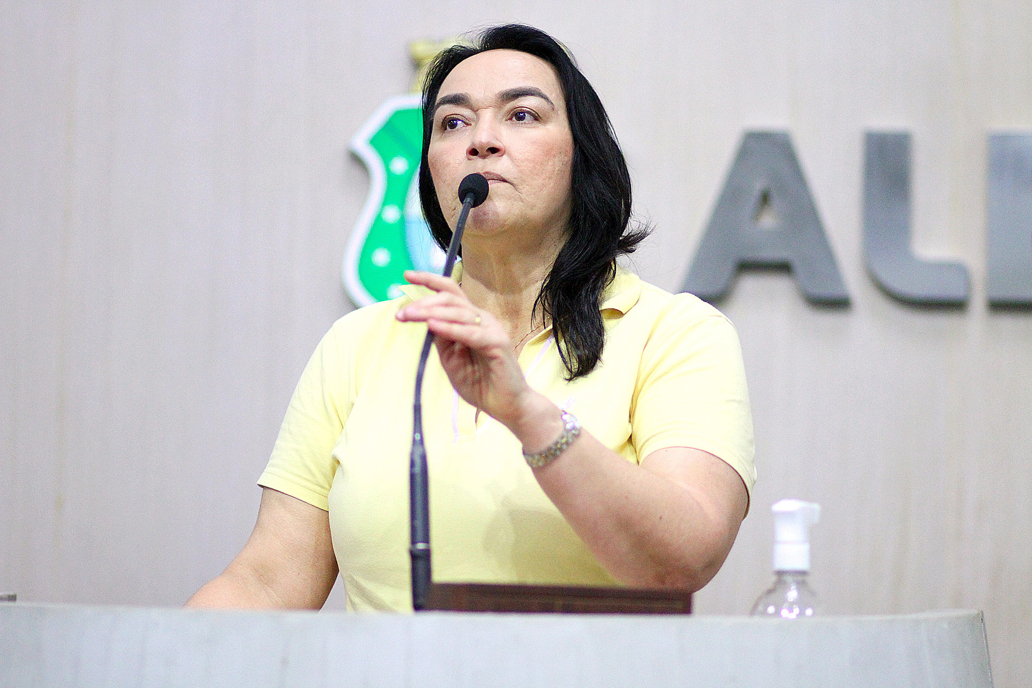 Deputada Dra. Silvana (PL),