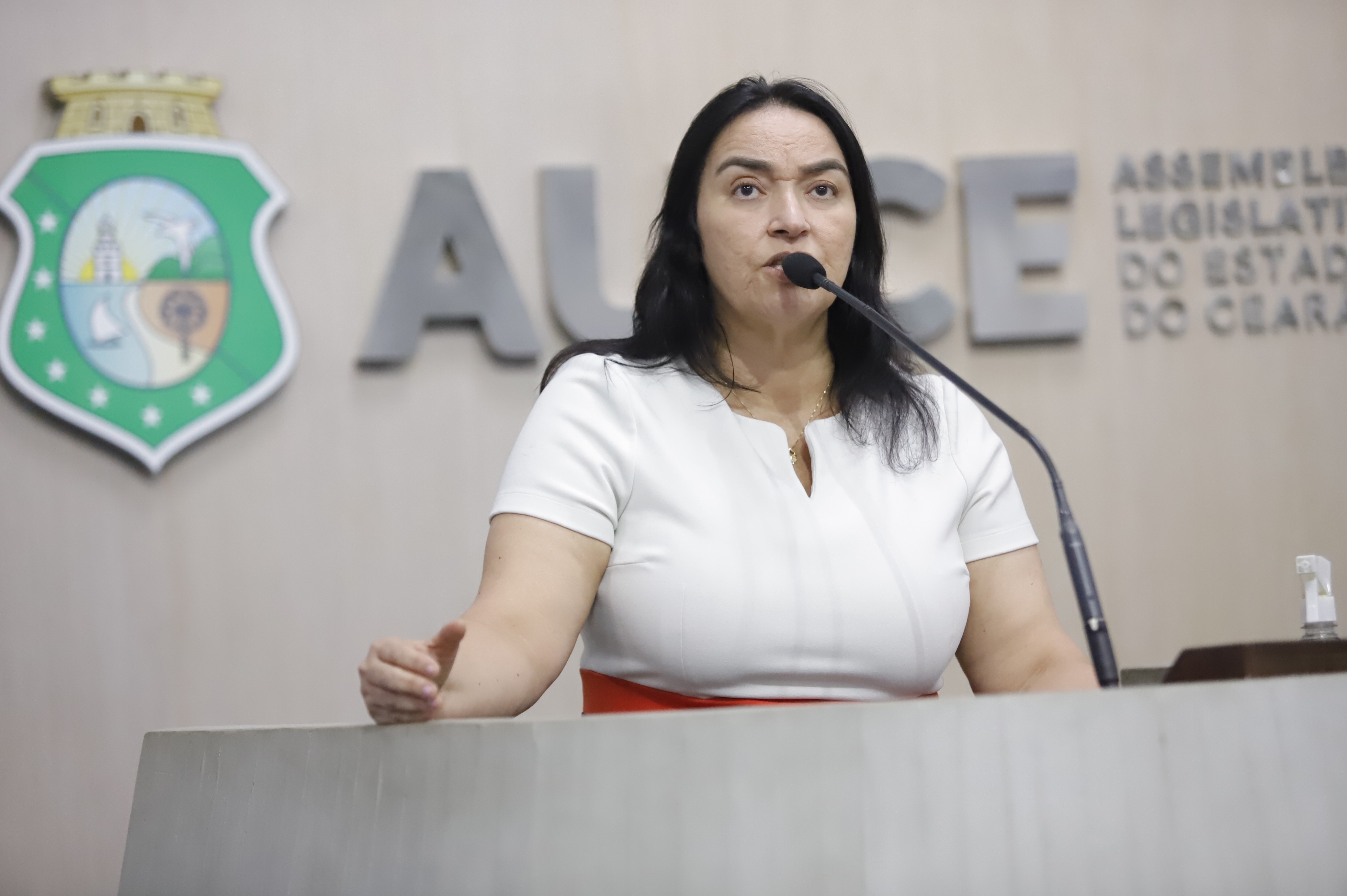 Silvana cobra apoio de parlamentares para comunidades terapêuticas