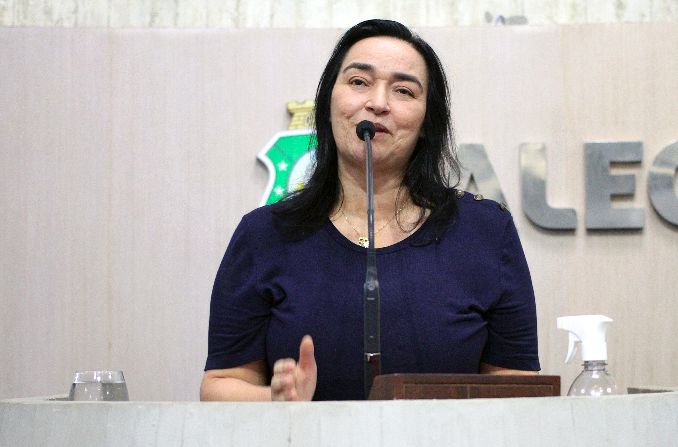 Deputada Dra.Silvana (PL)