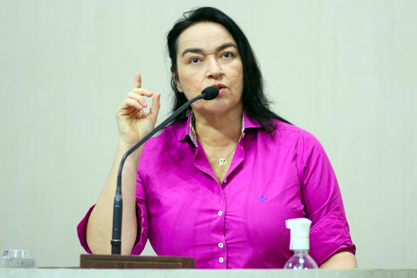 Deputada Dra.Silvana (PL)