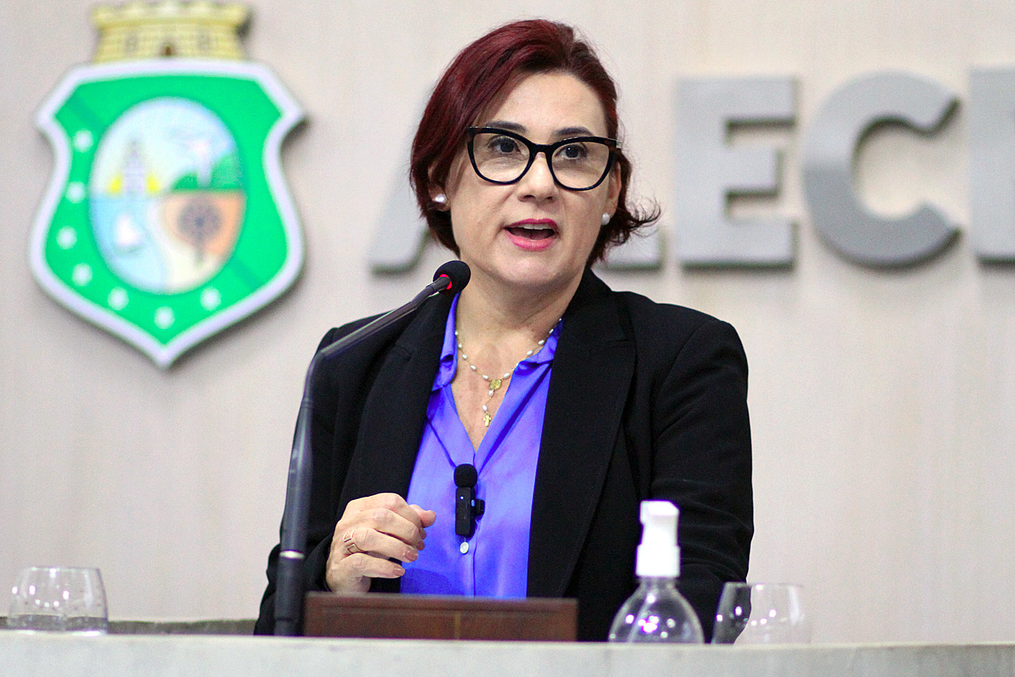 Deputada Emilia Pessoa (PSDB)